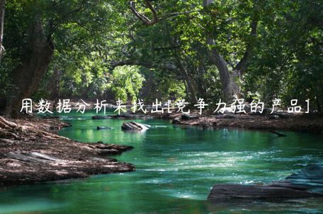 用數(shù)據(jù)分析來找出[競爭力強(qiáng)的產(chǎn)品]